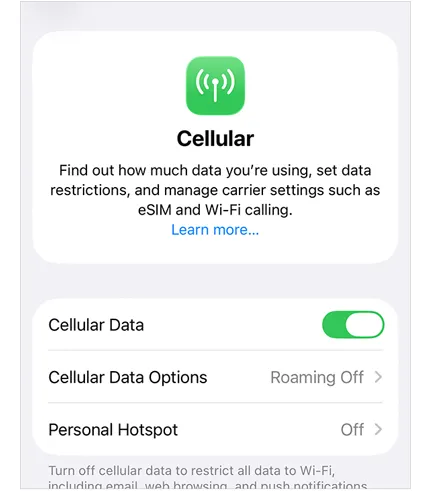 turn off cellular data on iphone and then turn it on