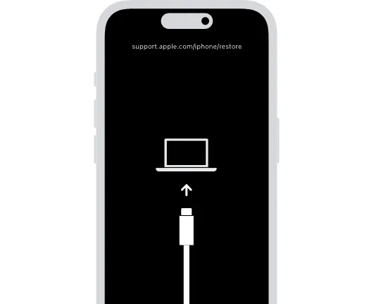 Ingrese al modo DFU para restaurar el iPhone
