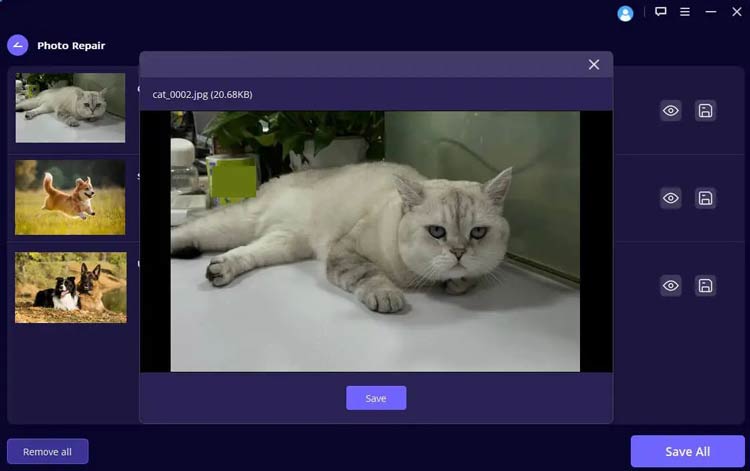 save repaired photos