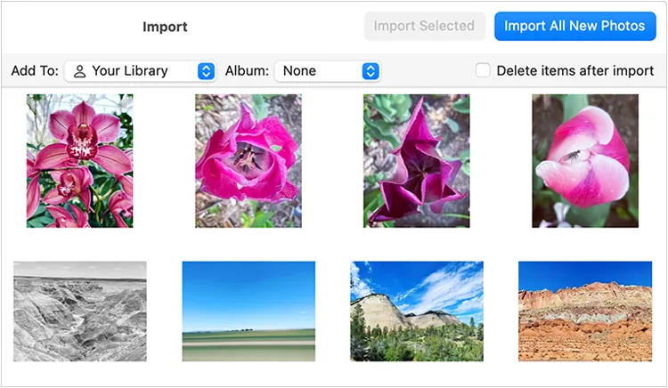 перенести фотографии с iPad на компьютер Mac с помощью приложения «Фотографии»