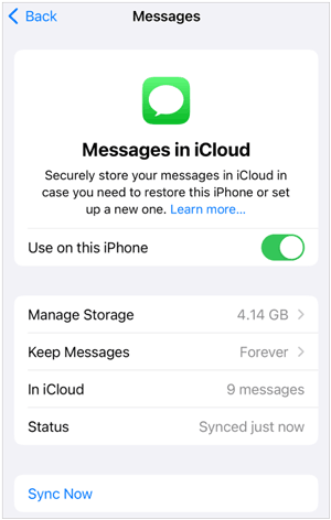 save text messages on iphone with icloud