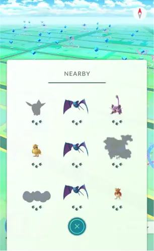 catch kangaskhan in australia