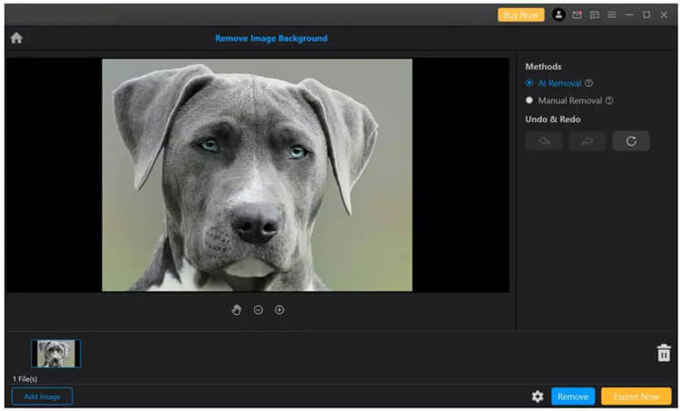 remove image background with ai removal