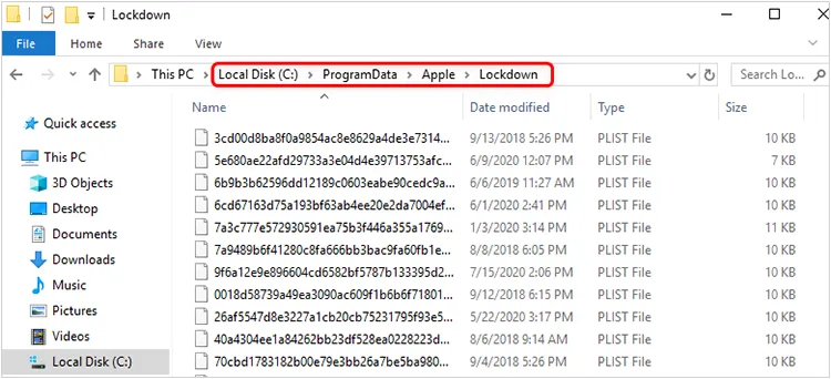 eliminar archivos de la carpeta de bloqueo