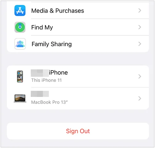 sign out of the icloud account