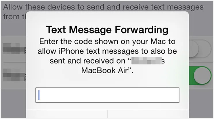 输入 Mac 上显示的代码