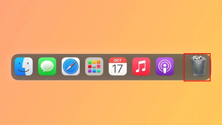 在 Mac 上强制清空回收站