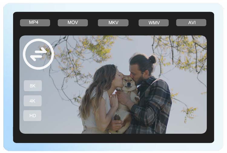 comprehensive video converter
